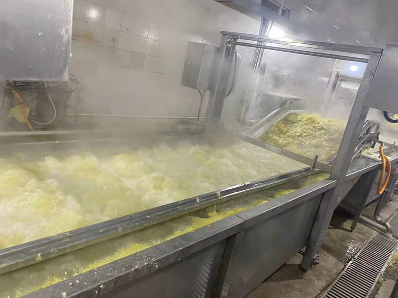 姜片脫鹽清洗流水線